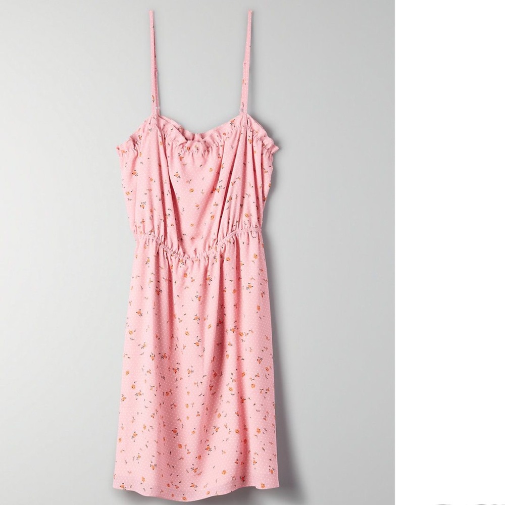 Aritzia Sunday Best Blixen Dress